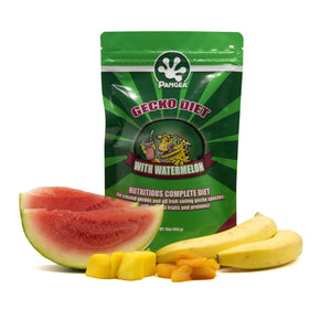 Pangea Gecko Diet with Watermelon™ with fruit