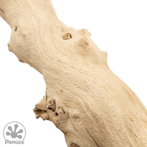 Pangea Sandblasted Grapevine