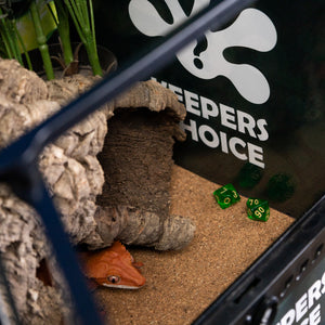 Keeper's Choice Crested Gecko - Pet Geckos Picked by Pangea!