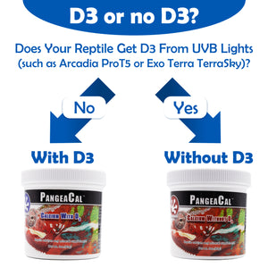 PangeaCal Calcium without D3