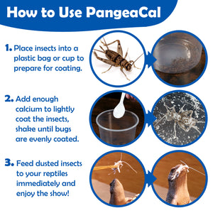 PangeaCal Calcium without D3