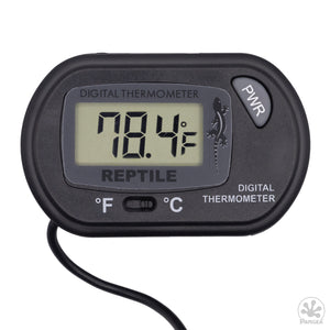 Pangea Digital Reptile Thermometer Isolated on a White Background with Pangea Logo