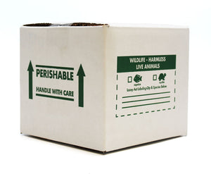 7x7x6 Insulated Shipping Box