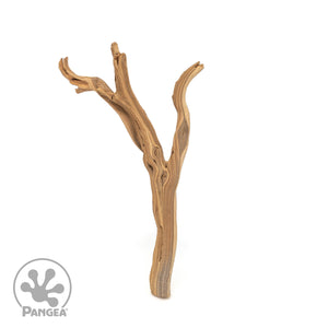 Pangea Ghost Wood Branch for enclosures.