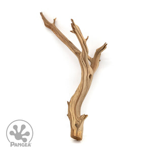 Pangea Ghost Wood Branch for enclosures.