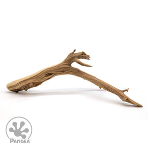 Pangea Ghost Wood Branch for enclosures.