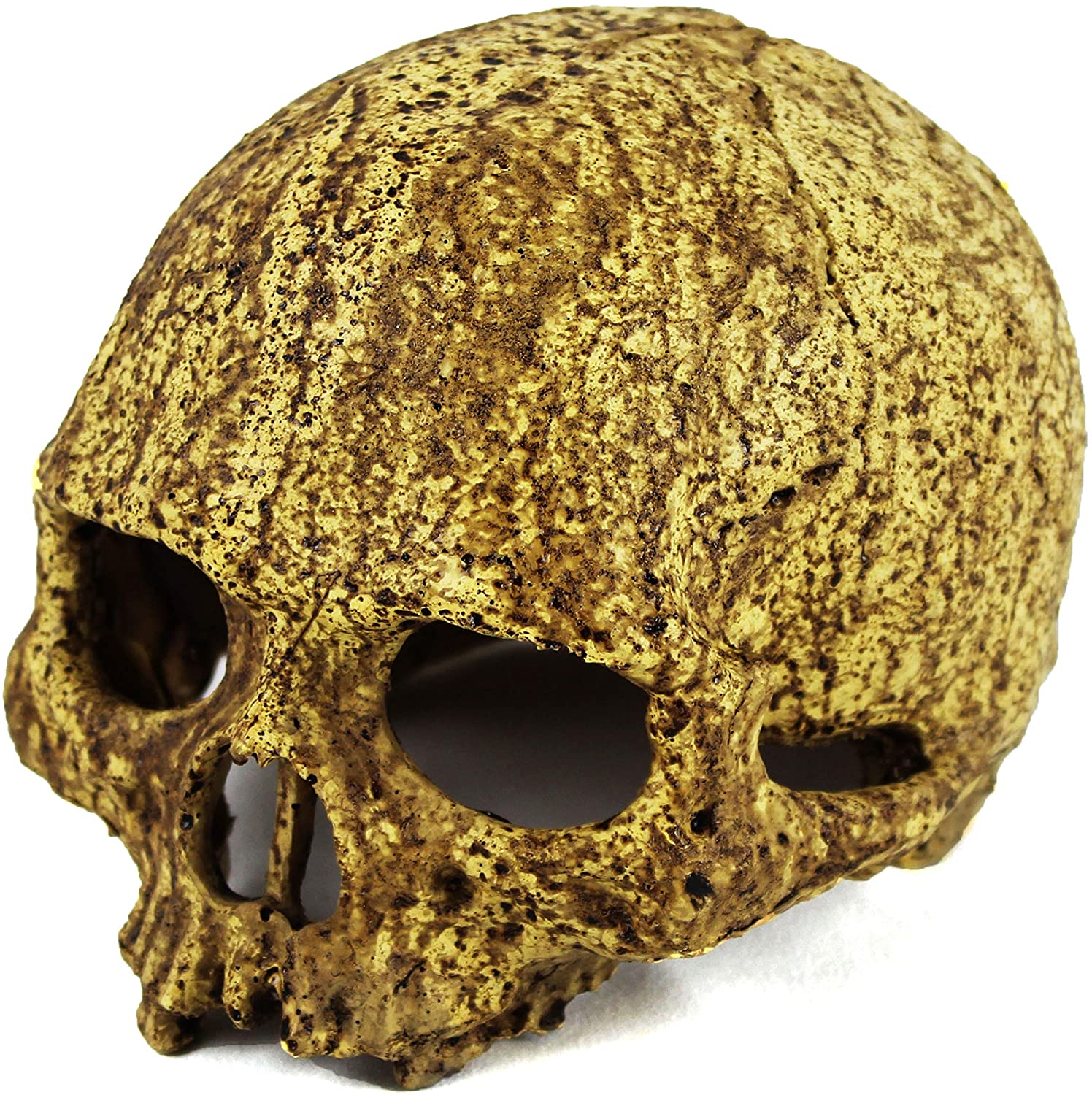 Pangea Human Skull Reptile Hide