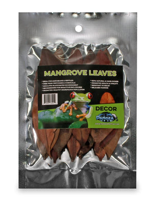 Pangea Leaf Litter Decor