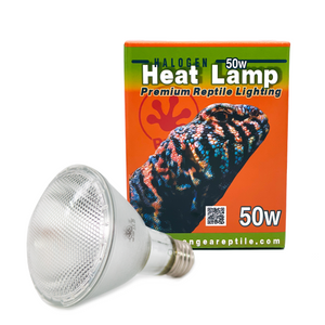 Advanced Chameleon Kit by Neptune the Chameleon