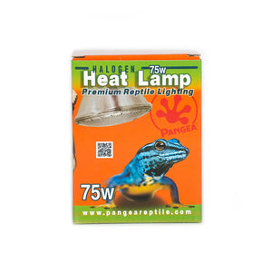 Pangea Halogen Heat Lamp Packag