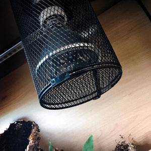 Arcadia Heat Lamp Cage in enclosure