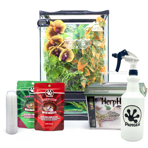 Complete Crested Gecko Kit