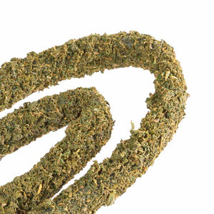 Exo Terra Moss Vines