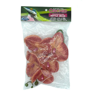 Pangea Hanging Orchids -Orange and Yellow in package