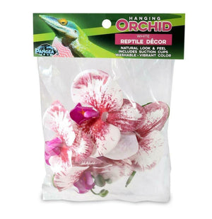 Pangea Hanging Orchids -White in Package