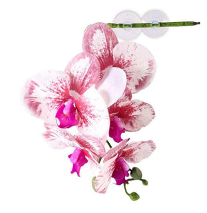Pangea Hanging Orchids -White