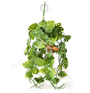 Pangea Plants - Green with Crested Gecko