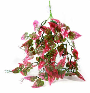Pangea Hanging Plant - Red