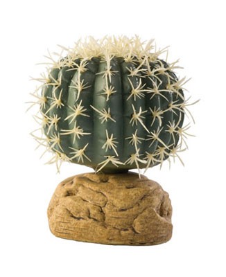 Exo Terra Barrel Cactus