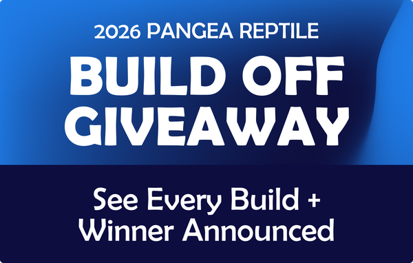 2026 Build Off Giveaway Winner + All Submissions