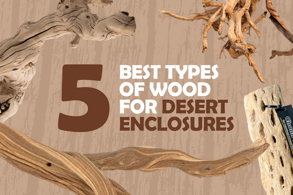 Here are the 5 Best Types of Wood for Desert Enclosures