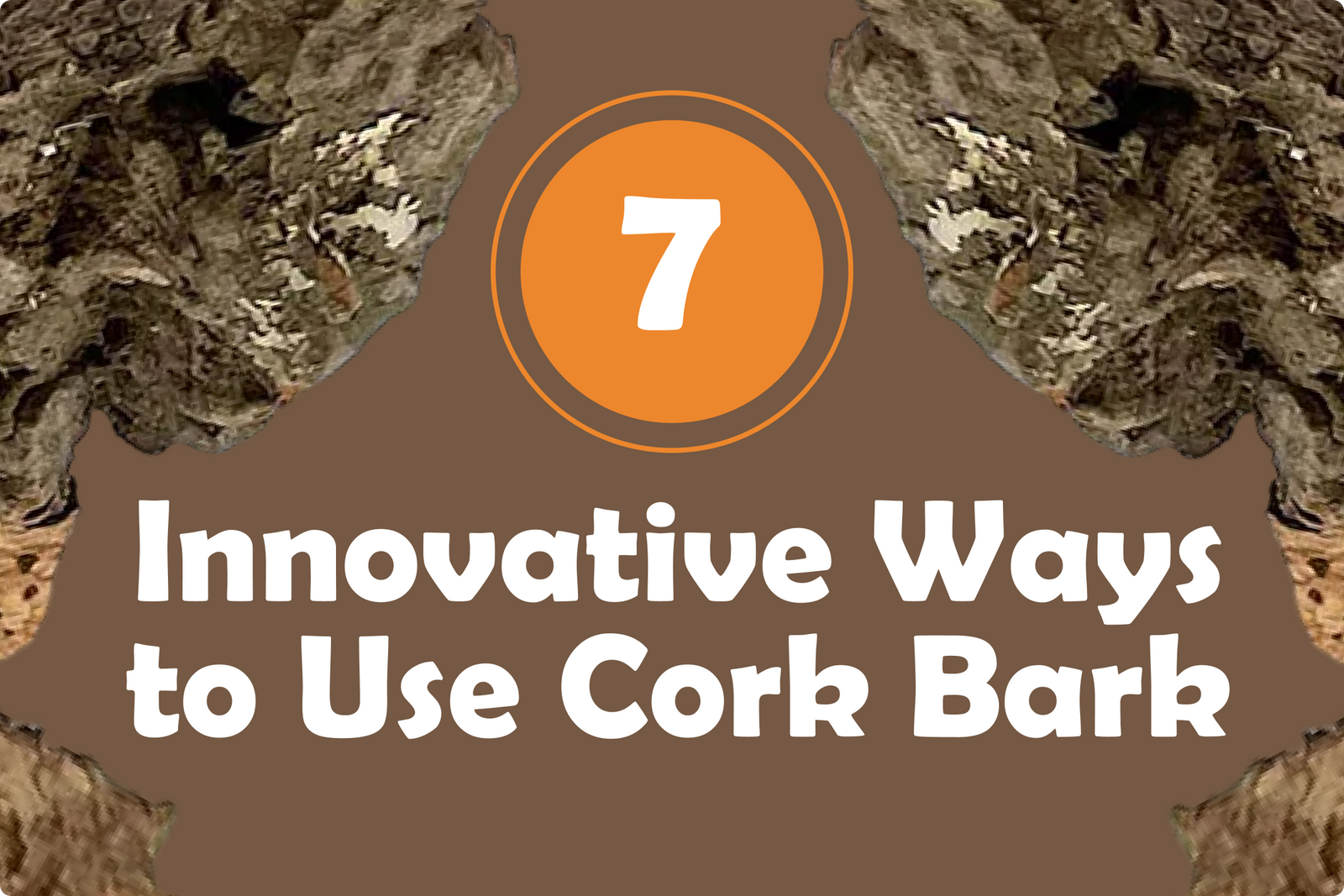 7 Innovative Ways to Use Cork Bark in Herp Enclosures