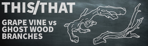 Grapevine Branches vs Ghost Wood Branches - This or That?