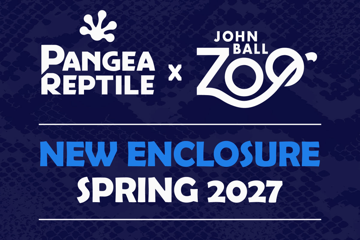 Pangea Reptile Partners with John Ball Zoo on New Frog and Friends Enclosure
