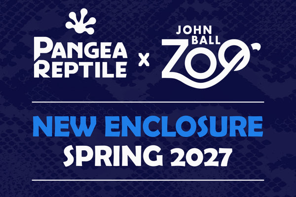 Pangea Reptile Partners with John Ball Zoo on New Frog and Friends Enclosure