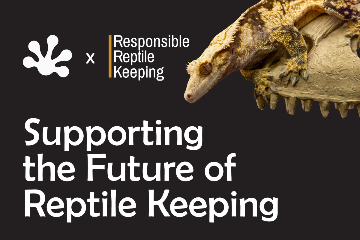 Supporting the Future of Reptile Keeping