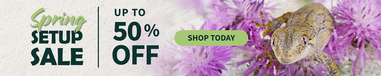 The 2026 Pangea Reptile Spring Setup Sale is Almost Here!