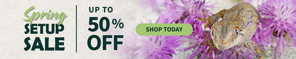 The 2026 Pangea Reptile Spring Setup Sale is Almost Here!