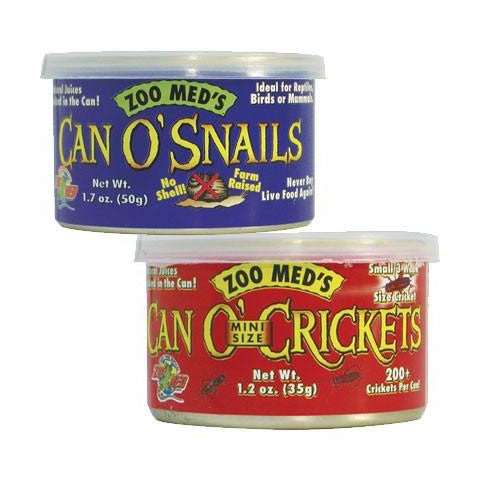 CANNED INSECTS