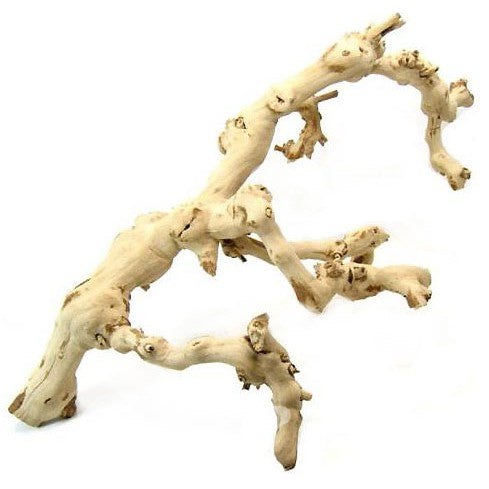 Wood & Branches