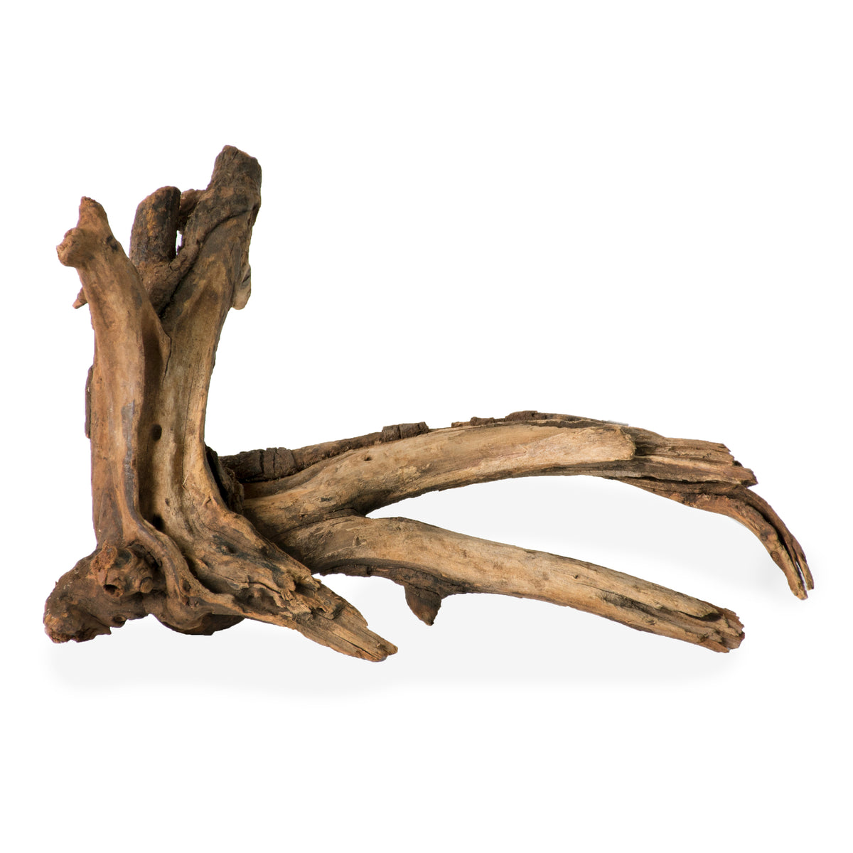 Galapagos Sinkable Driftwood