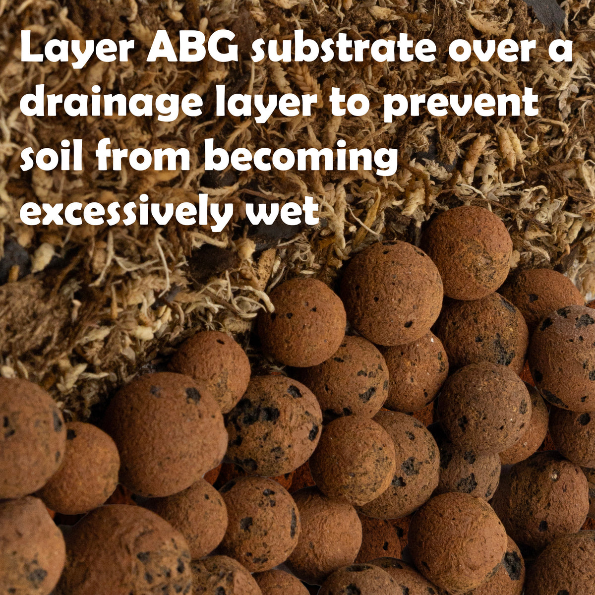 Cross section of Pangea ABG mix resting over a drainage layer