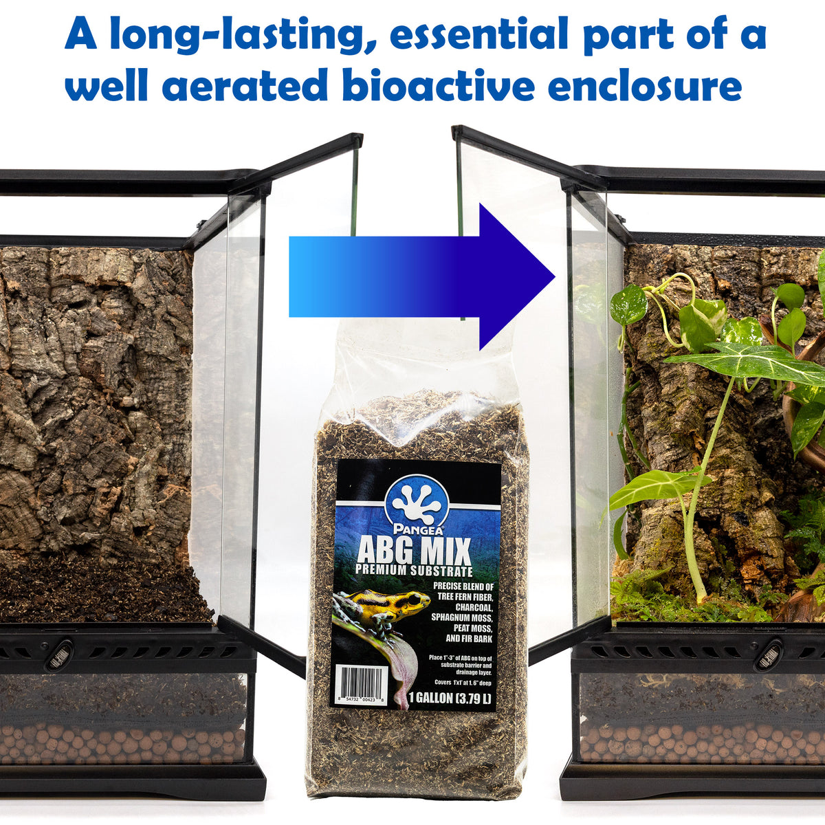 Pangea ABG mix with different stages of a bioactive enclosure build on a white background