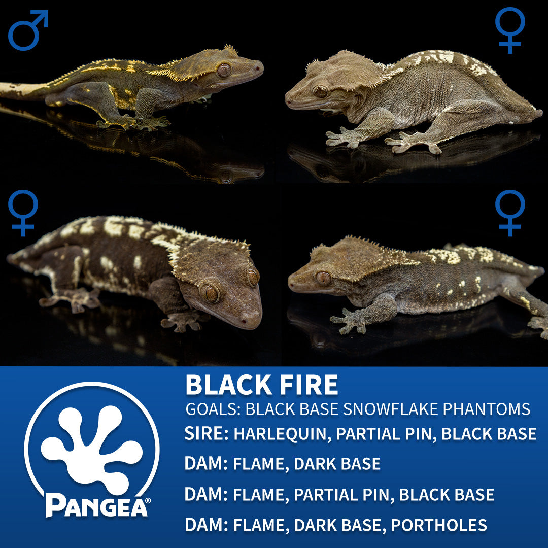 Cr-2830 breeder graphic