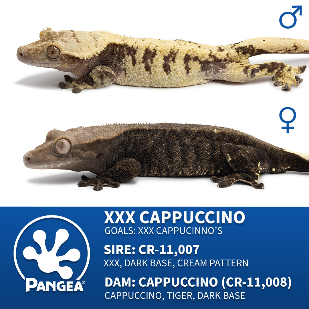 Cr-2849 breeder group