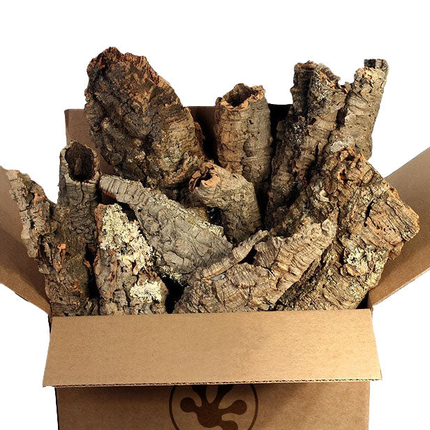 Cork Rounds | Cork Bark for Sale | Reptile Wood | Pangea - Pangea ...