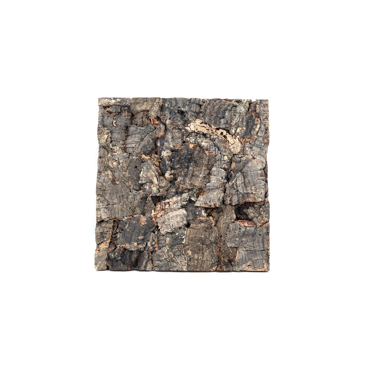 Pangea Cork Background - 12x12 Rough