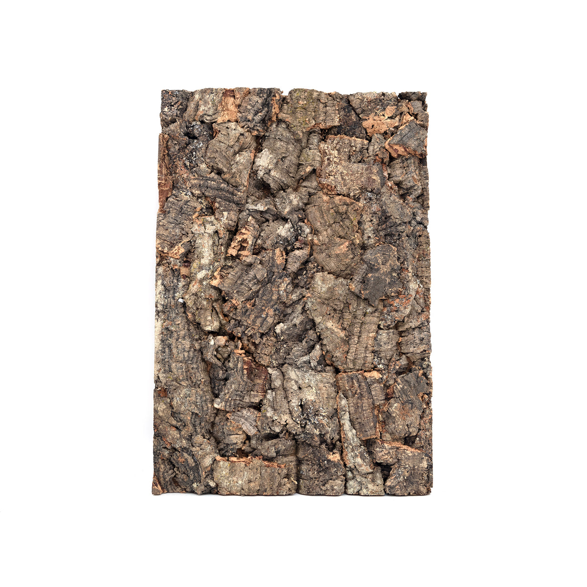 Pangea Cork Background - 12x18 Rough