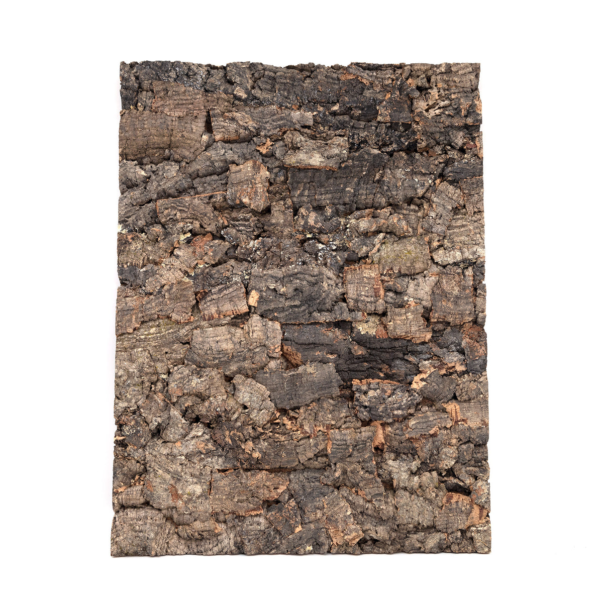 Pangea Cork Background - 18x24 Rough