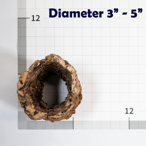 Pangea Cork Bark Rounds