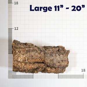 Pangea Cork Bark Rounds