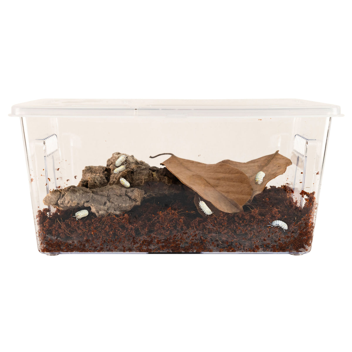 Zoo Med Creatures® Roly-Poly Kit – Isopod Habitat