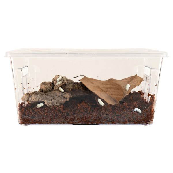 Zoo Med Creatures® Roly-Poly Kit – Isopod Habitat - Pangea Reptile LLC