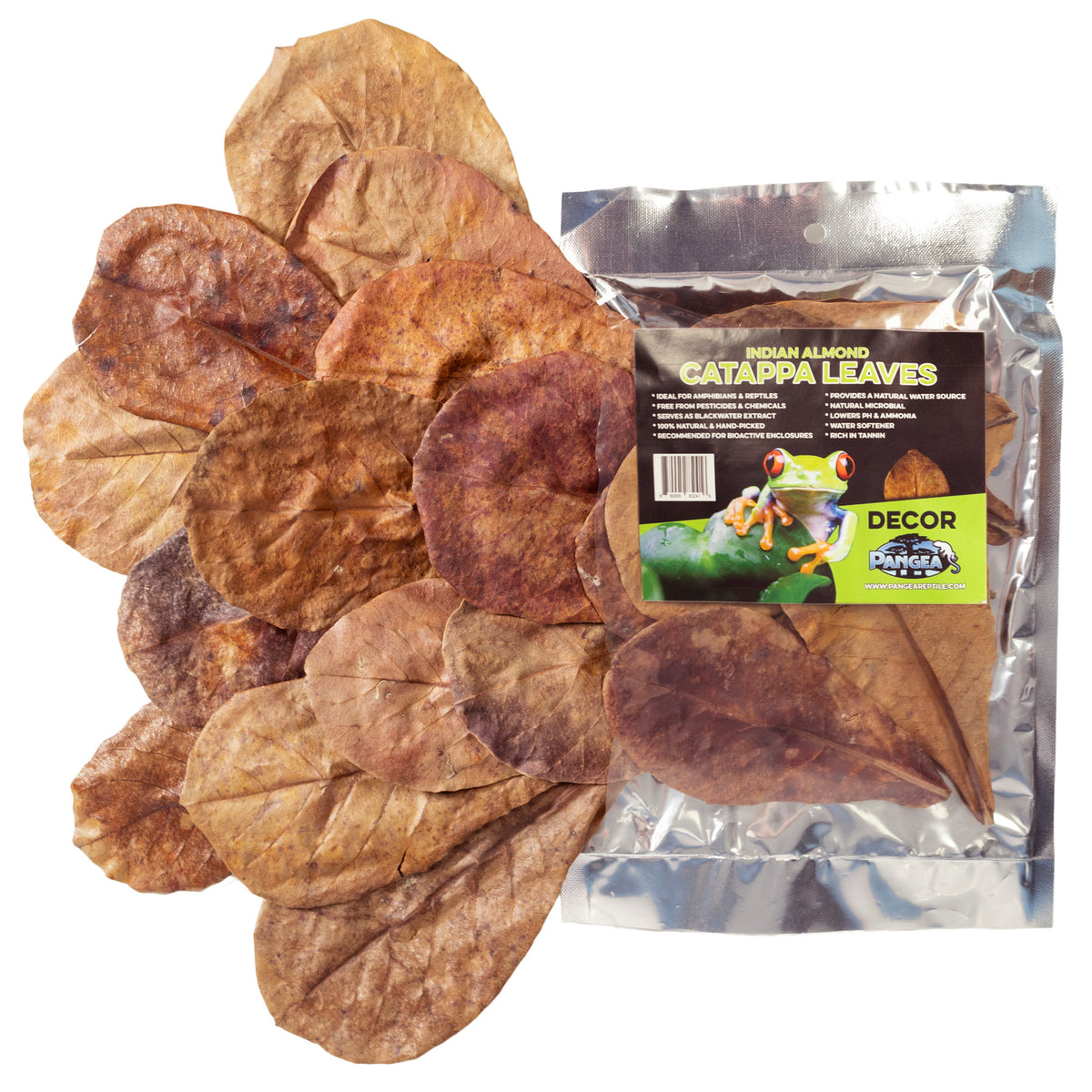 Pangea Leaf Litter Decor