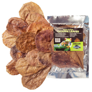 Pangea Leaf Litter Decor