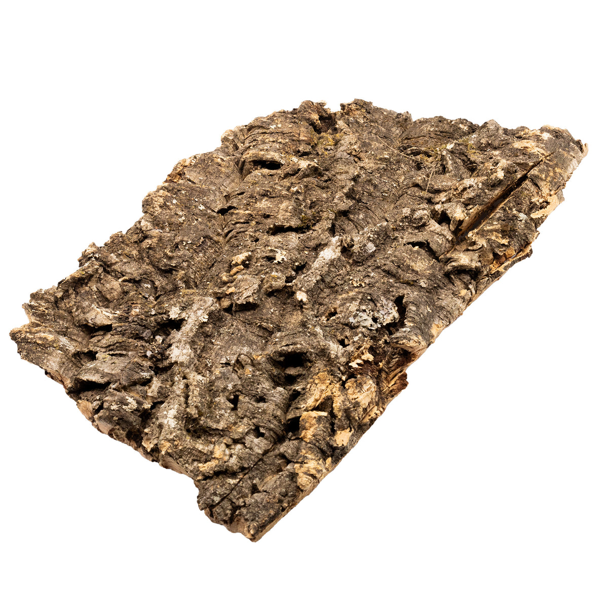 Pangea Cork Bark Flat large